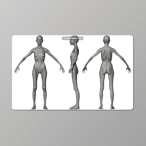 Download Morphable Human 3D Models (Male and Female)