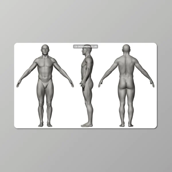 Download Morphable Human 3D Models (Male and Female)