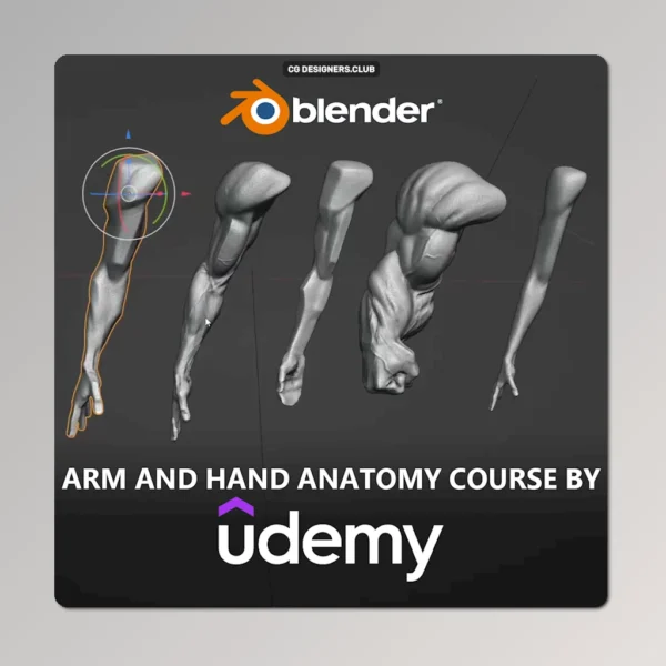 FREE Download Arm and Hand Anatomy Course in Blender by Udemy + Project File