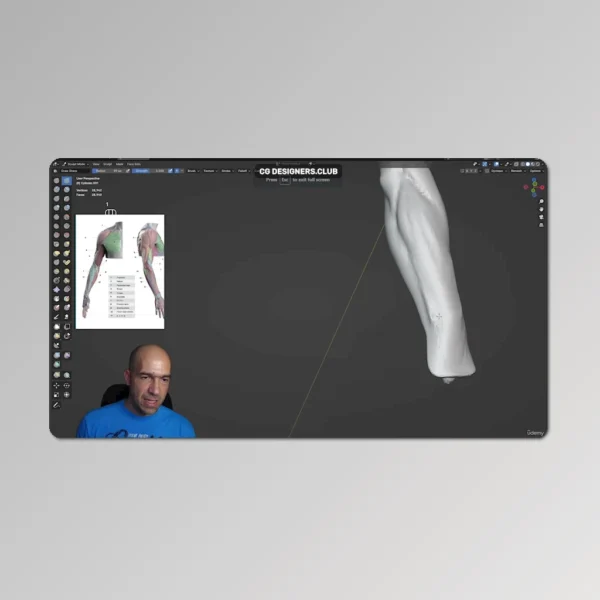 FREE Download Arm and Hand Anatomy Course in Blender by Udemy + Project File