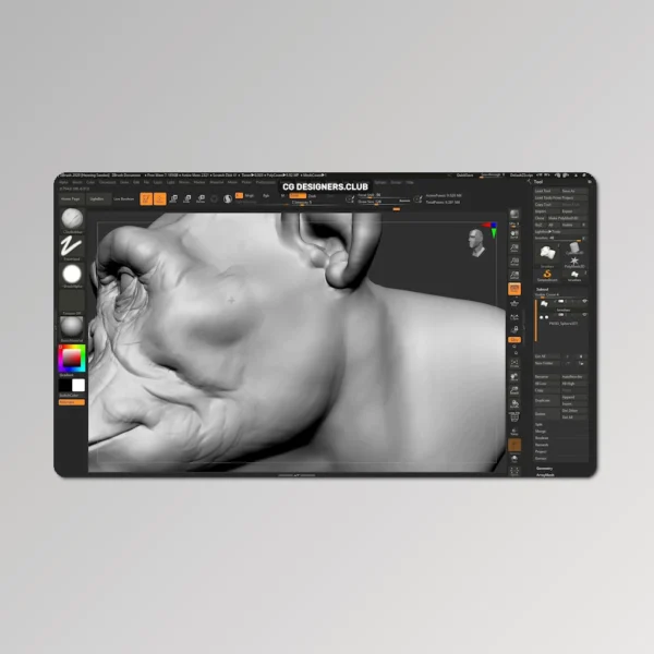 Introduction to ZBrush Course by FlippedNormals