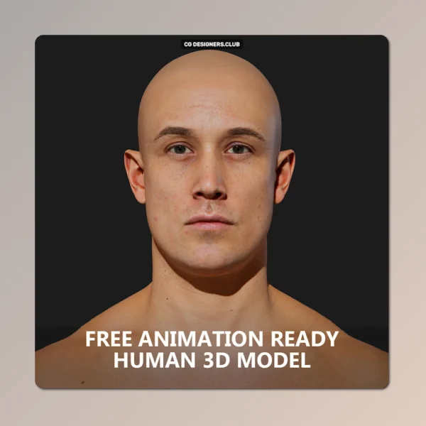 FREE Download Animation Ready Human 3D Model