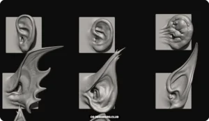 Download Ear Zbrush VDMs