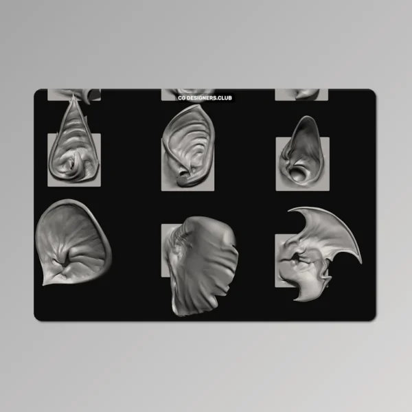 Download Ear Zbrush VDMs