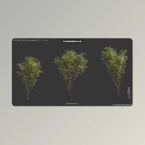 Download Plants 3D Models 04 - Colloction by Maxtree