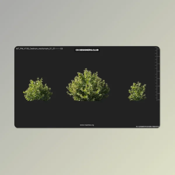 FREE Download Plants 3D Models 03 - Colloction by Maxtree