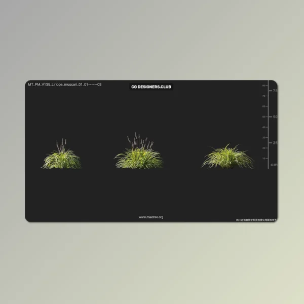 FREE Download Plants 3D Models 03 - Colloction by Maxtree