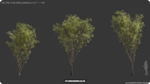 Download Plants 3D Models 04 - Colloction by Maxtree