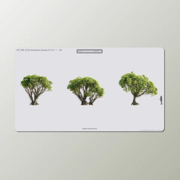 Download Plants 3D Models 05 - Colloction by Maxtree