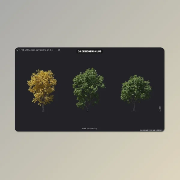 FREE Download Plants 3D Models 07 – Colloction by Maxtree