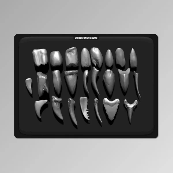 FREE Download Zbrush Assorted Teeth IMM Brush