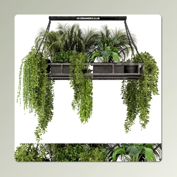 Download Indoor Hanging Plants 3D Model by 3DSky