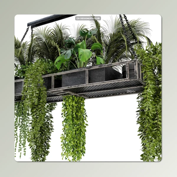 Download Indoor Hanging Plants 3D Model by 3DSky