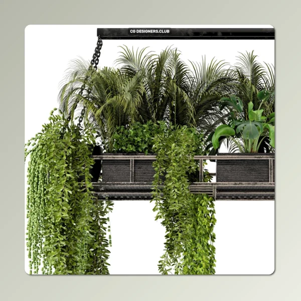 Download Indoor Hanging Plants 3D Model by 3DSky