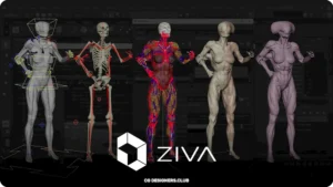 Downlaod Ziva VFX Assets for Maya